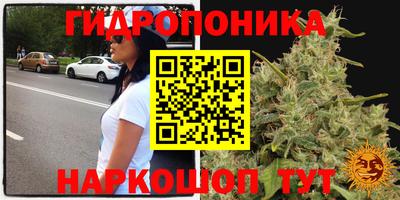 амф Кулебаки