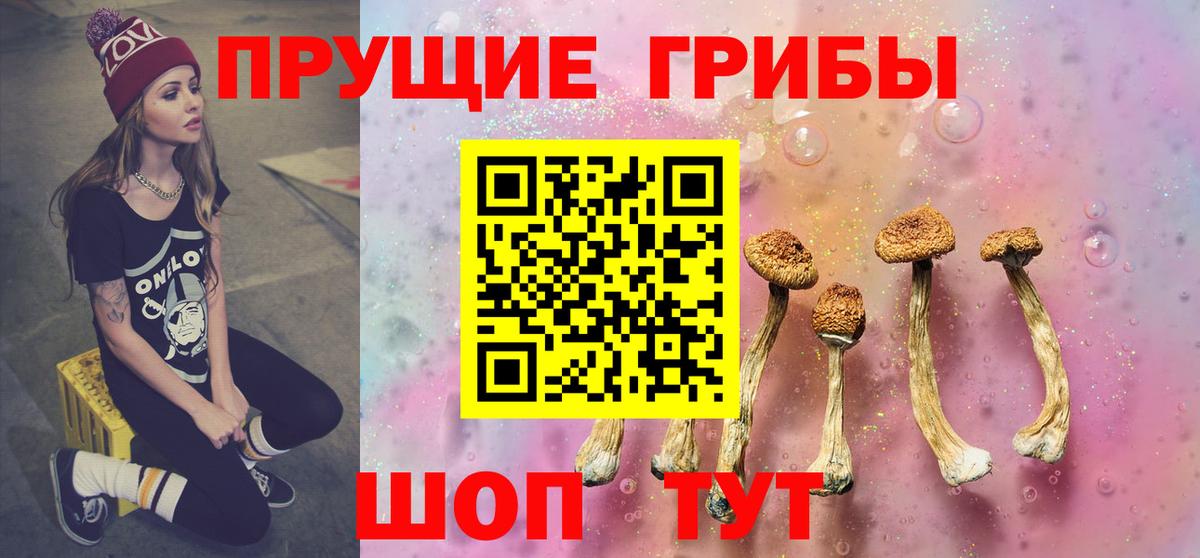 Псилоцибиновые грибы мухоморы Кизилюрт