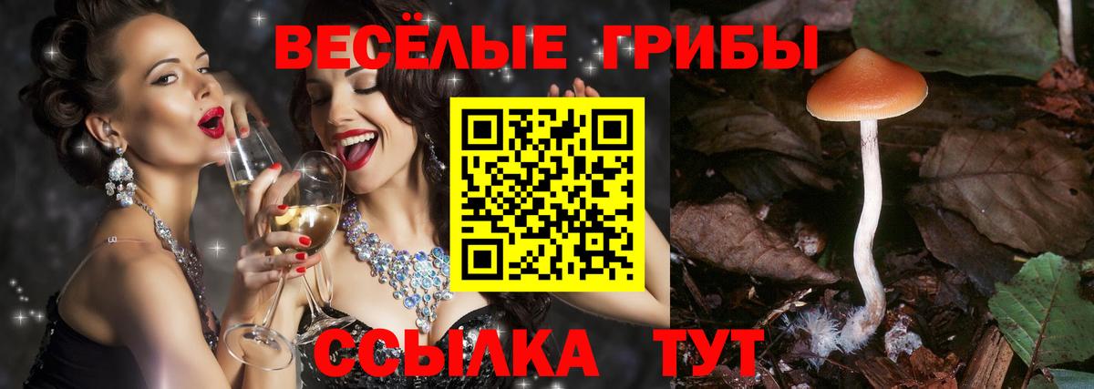 Псилоцибиновые грибы мухоморы  Вход с VPN  Кизилюрт 